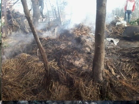 cattle house, fire, burn, two, animal